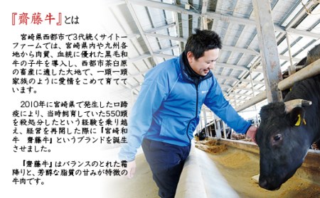 宮崎和牛「齋藤牛」ウデ・バラ焼肉盛り合わせ400g　国産牛肉＜1.3-11＞