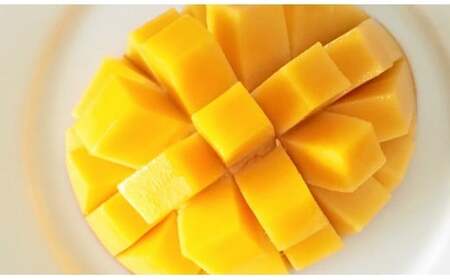 【先行予約】鉢植栽培　高糖度完熟マンゴー2L×2個　西都産　2026年発送　数量限定＜1.5-130＞