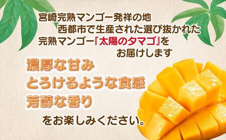 7月発送【先行予約】最高級ブランド『太陽のタマゴ』2L×2個【糖度15度以上】宮崎県西都市産完熟マンゴー<3.6-5>宮崎マンゴー 果物 フルーツ 甘い