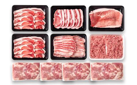 宮崎県産豚肉 6種 バラエティ3kgセット＜1.6-41＞小分け スライス 鍋 トンカツ 餃子等