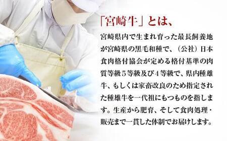 【2月発送】宮崎牛 赤身焼肉600g A4~A5等級 ミヤチク BBQ 牛肉<1.2-73>●