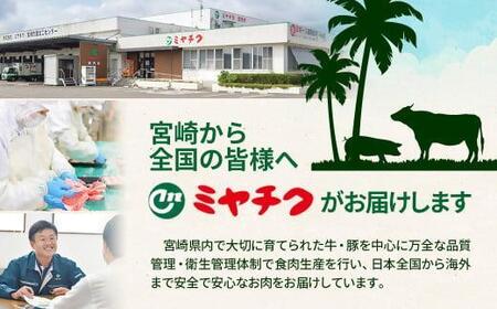 【2月発送】宮崎牛 赤身焼肉600g A4~A5等級 ミヤチク BBQ 牛肉<1.2-73>●