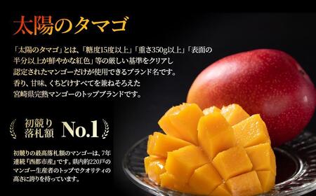 【２カ月定期便】先行予約　最高級ブランド『太陽のタマゴ』2L×2個×２回【糖度15度以上】宮崎県西都市産完熟マンゴー＜7.5-13＞宮崎マンゴー 果物 フルーツ 甘い