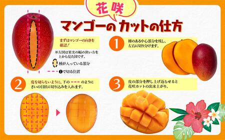 【先行予約】最高級ブランド『太陽のタマゴ』大玉 3L×2個【糖度15度以上】宮崎県西都市産完熟マンゴー＜3.1-3＞2026年発送