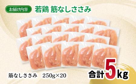 宮崎県産若鶏 筋なしささみ 5kg 小分け250g×20パック<70-16a>