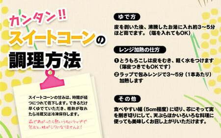 2026年発送【先行予約】西都市産スイートコーン6kgと西都市産スイートコーンドレッシングセット＜1.4-26＞＊