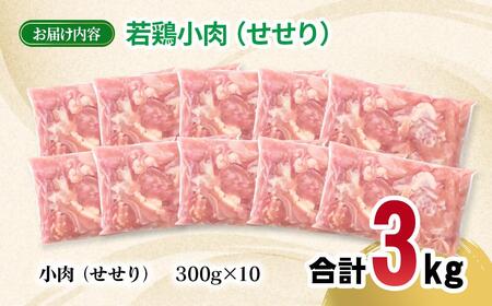 宮崎県産若鶏 小肉(せせり)3kg 小分け 300g ×10パック<70-14a>