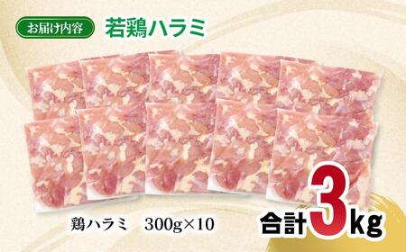 宮崎県産若鶏 ハラミ 3kg 小分け 300ｇ×10パック＜70-10a＞