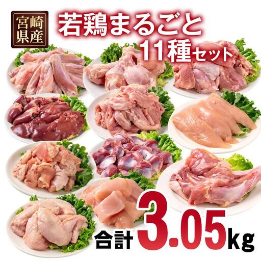 宮崎県産若鶏 11種 合計3.05kgセット 小分け もも肉 むね肉 筋なしささみ 砂肝等々 小分け 11パック＜1.4-34＞