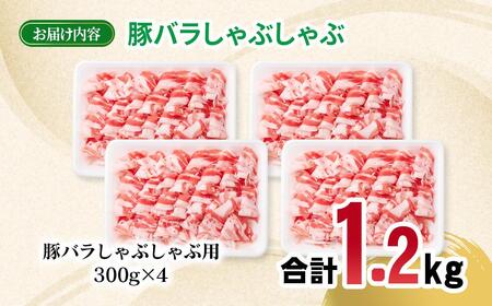 宮崎県産豚肉 豚バラスライス しゃぶしゃぶ 1.2kg(300g×4パック) 小分け＜1.4-35＞