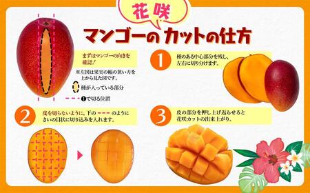 【先行予約】訳あり 糖度12度以上 西都市産完熟マンゴー 4L×3玉　2026年発送＜2.2-21＞