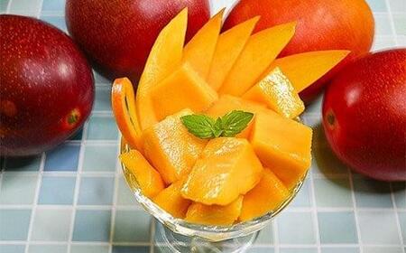 【先行予約】訳あり 糖度12度以上 西都市産完熟マンゴー 4L×3玉　2026年発送＜2.2-21＞