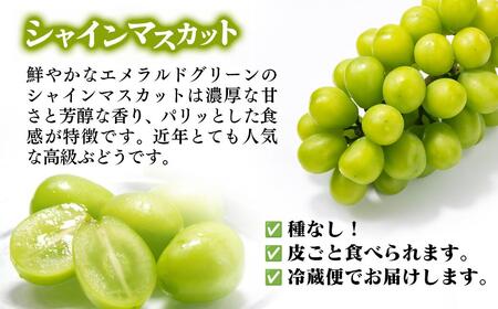 【先行予約】シャインマスカット・ナガノパープル 食べ比べセット 計1.7kg以上 宮崎県西都市産ぶどう 2026年発送＜66-1a＞