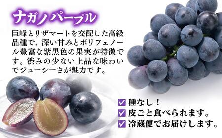 【先行予約】シャインマスカット・ナガノパープル 食べ比べセット 計1.7kg以上 宮崎県西都市産ぶどう 2026年発送＜66-1a＞