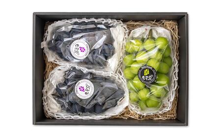 【先行予約】シャインマスカット・ナガノパープル 食べ比べセット 計1.7kg以上 宮崎県西都市産ぶどう 2026年発送＜66-1a＞