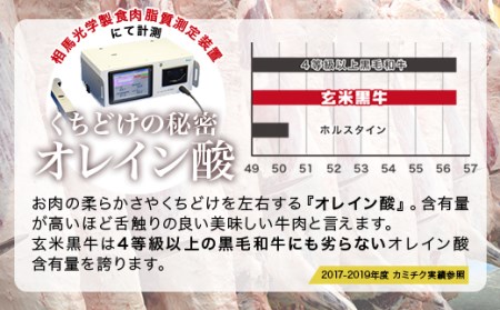 玄米黒牛　牛カルビ焼肉600g　国産牛肉　カミチク＜1.4-12＞