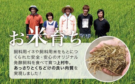 宮崎県産　上村牛食べ比べ焼肉セット1㎏　国産牛肉　カミチク＜1.8-15＞