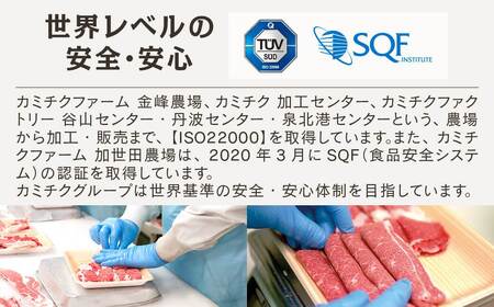 宮崎県産　上村牛食べ比べ焼肉セット1㎏　国産牛肉　カミチク＜1.8-15＞