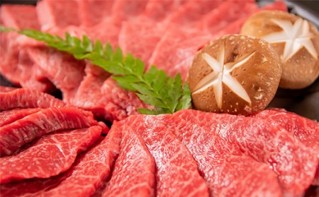 宮崎和牛「齋藤牛」焼肉＆ホルモンファミリーセット900g　国産牛肉＜1.8-10＞