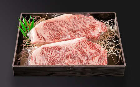 黒毛和牛 「宮崎和牛 齋藤牛」サーロインステーキ 250g×2枚 合計500g 国産牛肉＜4.3-3＞