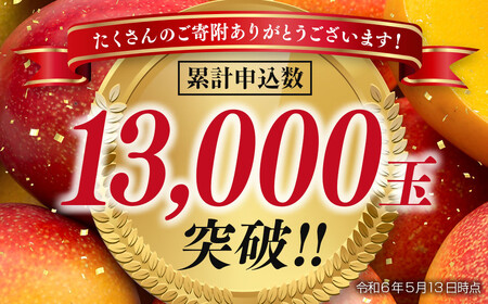 【先行予約】宮崎県産完熟マンゴー3L×2個　合計900g以上　2025年発送＜1.5-132＞