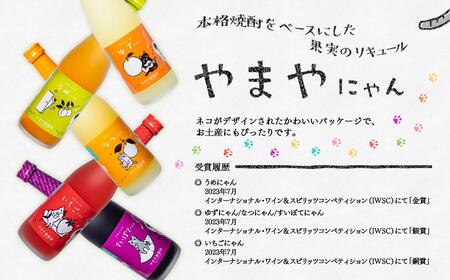 ご当地柚子リキュール「ゆずにゃん」500ml 6本セット<4-3>