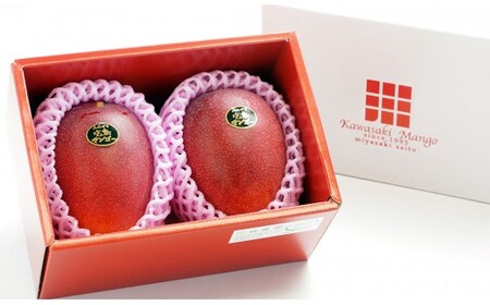 【先行予約】『川崎農園』完熟マンゴー 西都市 産生産者直送 2026年発送＜1.7-46＞