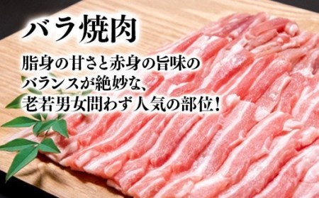 宮崎県産豚肉4種セット　合計 3.7kg　小分けパック　焼肉　しゃぶしゃぶ　とんかつ　国産豚肉＜1.5-181＞
