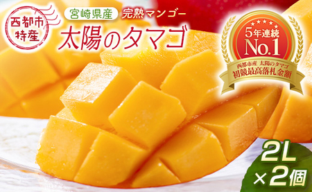 宮崎県産 完熟マンゴー 3.5k ばら - 果物