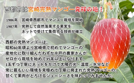 【先行予約】宮崎県産完熟マンゴー『太陽のタマゴ』2L×2個　計700g以上＜2-76＞