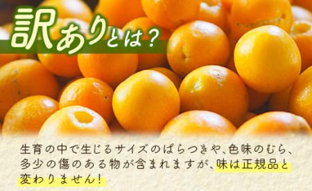 西都市特産品 訳あり宮崎県産完熟きんかん 3㎏＜1.2-41＞ | 宮崎県西