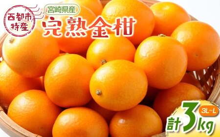 【先行予約】西都市特産品 宮崎県産完熟きんかん 3kg 2026年1月発送開始<1.2-41>