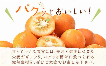 【先行予約】宮崎県西都市産完熟きんかん　１kg（3L～L）2026年1月発送開始＜1-233＞