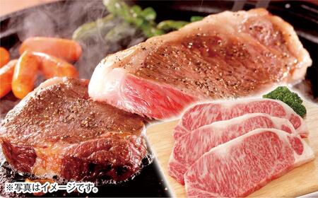 【宮崎牛】サーロインステーキ 250g×2枚 4等級以上 国産牛肉<3-43>A