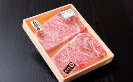 【宮崎牛】サーロインステーキ　250g×2枚　4等級以上　国産牛肉＜3-43＞