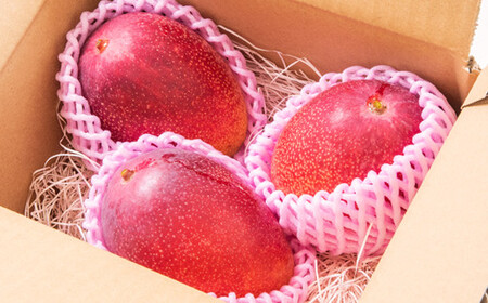 【先行予約】訳あり　ご家庭用完熟マンゴー1kg(2～3玉)　長友農園　2026年発送＜1.2-59＞＊