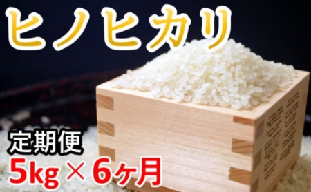 【定期便】伊東マンショ米　ヒノヒカリ　5kg×6ヵ月＜4-10＞