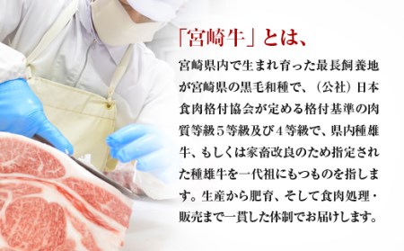 【宮崎牛】ミヤチク　ウデ・肩ロース焼肉セット700g　4等級以上　国産牛肉＜1.6-23＞