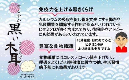 国産　粉末黒きくらげ 1kg 【宮崎県西都市産】＜15-12＞