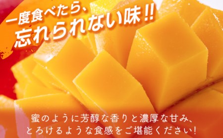 【先行予約】最高級ブランド完熟マンゴー『太陽のタマゴ』約1kg＜3-48＞