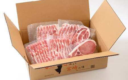 宮崎県産豚肉3種 詰め合わせセット約1kg 小分け しゃぶしゃぶ用・スライス・とんかつ<1-274>★