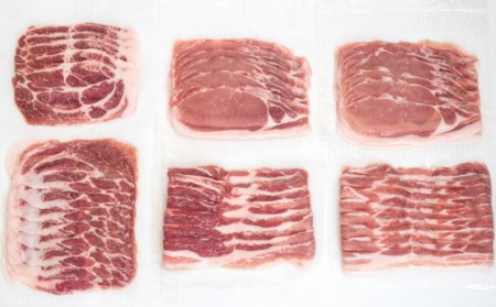 宮崎県産豚肉3種　1.2kg　小分け しゃぶしゃぶ用とスライスの詰め合わせセット　国産豚肉＜1.1-12＞