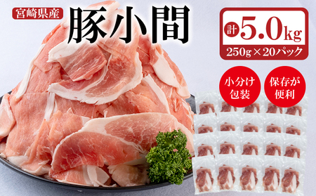 宮崎県産豚肉 小間切れ 5kg（250g×20）＜1.7-22＞