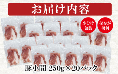 宮崎県産豚肉 小間切れ 5kg（250g×20）＜1.7-22＞