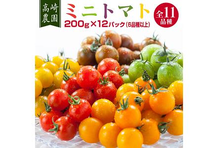 【数量限定】高崎農園 200g×12パック(6品種以上ミニトマト詰め合わせセット)<1-29>