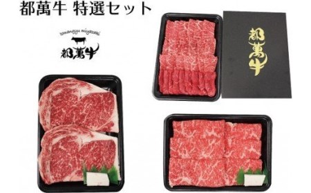 【年内発送】都萬牛　特選セット　ステーキ・スライス・焼肉　国産牛肉＜5-3＞