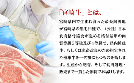 【3ヶ月定期便】ミヤチク　宮崎牛Dコース 　ステーキ定期便　4等級以上　国産牛肉＜8-1＞