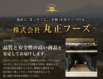 【720牧場グループ牛】自社牧場肉と国産野菜のビーフシチュー 170g×6パック 「720牧場グループ牛」100％使用 ビーフシチュー デミグラスソース 牛肉 惣菜 レトルト 便利 時短 おかず 保存食 簡単調理 おうちごはん 宮崎県 えびの市 送料無料