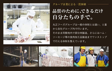 【720牧場グループ牛】自社牧場肉と国産野菜のビーフシチュー 170g×6パック 「720牧場グループ牛」100％使用 ビーフシチュー デミグラスソース 牛肉 惣菜 レトルト 便利 時短 おかず 保存食 簡単調理 おうちごはん 宮崎県 えびの市 送料無料