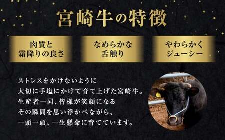 宮崎牛 霜降り＆赤身焼肉セット 700g 切り落とし 牛肉 カルビ モモ ウデ 赤身 国産牛 お肉 冷凍 焼き肉 ギフト 贈答用 贈り物 宮崎県 九州 送料無料 日本一 祝！宮崎牛は、史上初和牛オリンピック４大会連続内閣総理大臣賞受賞！